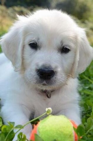 Cover of Adorable Little Golden Retriever Puppy Dog with a Tennis Ball Journal