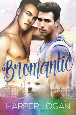 Cover of Bromantic