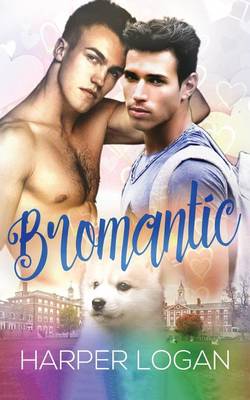 Book cover for Bromantic