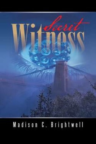 Cover of Secret Witness