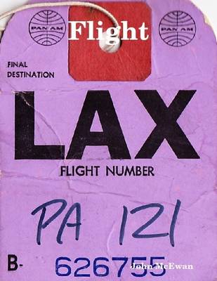 Book cover for Flight