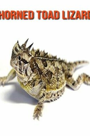 Cover of Horned Toad Lizard