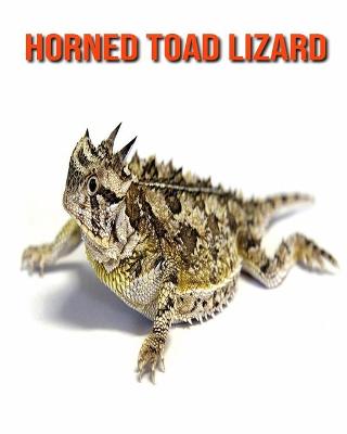 Book cover for Horned Toad Lizard