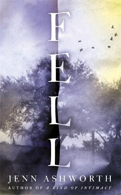 Book cover for Fell