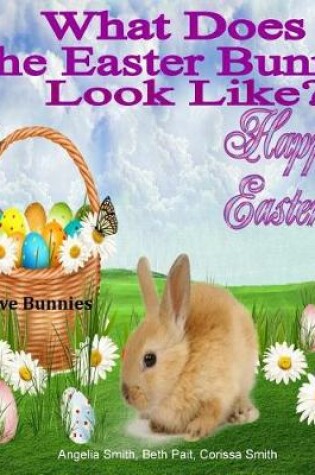 Cover of What Does The Easter Bunny Look Like?