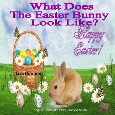 Book cover for What Does The Easter Bunny Look Like?