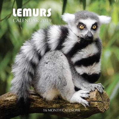 Book cover for Lemurs Calendar 2019