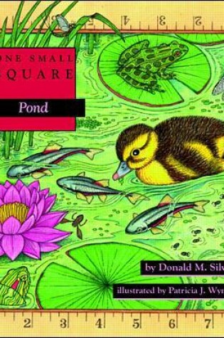 Cover of Pond