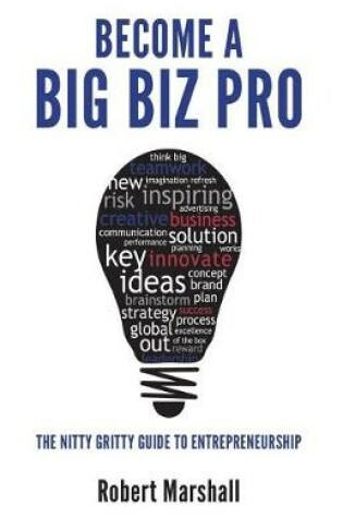 Cover of Become A Big Biz Pro