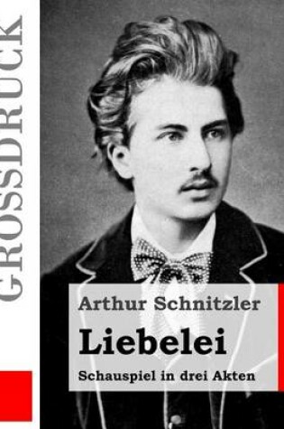 Cover of Liebelei (Grossdruck)