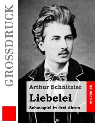 Book cover for Liebelei (Grossdruck)