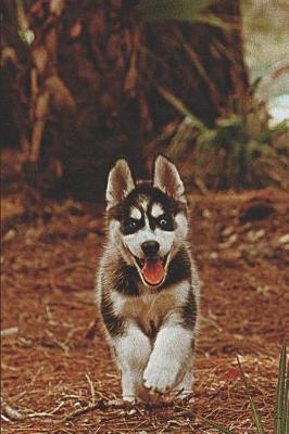 Book cover for Siberian Husky Puppy Lovers Journal