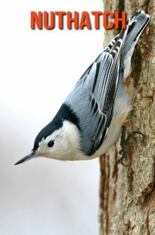 Cover of Nuthatch