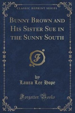 Cover of Bunny Brown and His Sister Sue in the Sunny South (Classic Reprint)