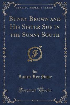 Book cover for Bunny Brown and His Sister Sue in the Sunny South (Classic Reprint)