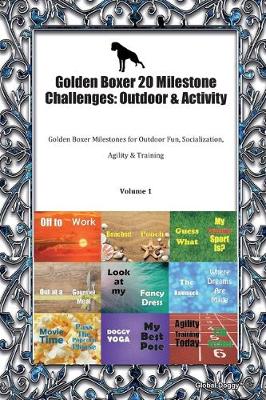 Book cover for Golden Boxer 20 Milestone Challenges