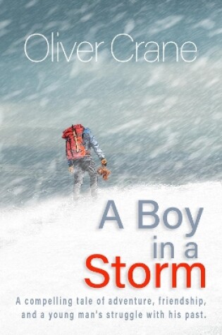 Cover of A Boy in a Storm