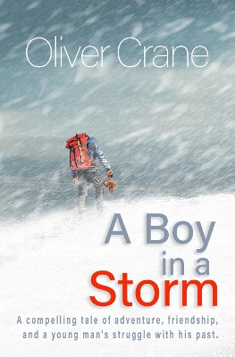 Book cover for A Boy in a Storm