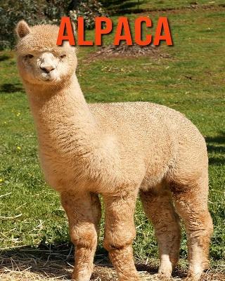 Book cover for Alpaca