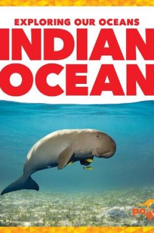 Cover of Indian Ocean