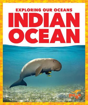 Book cover for Indian Ocean