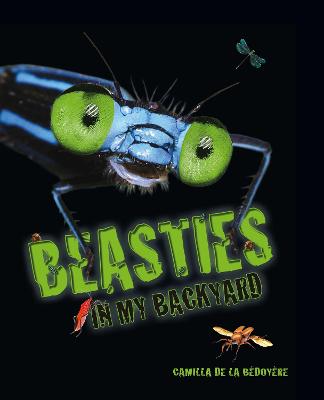 Book cover for Beasties in my Backyard