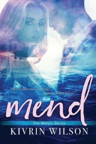 Cover of Mend