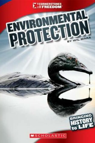 Cover of Environmental Protection