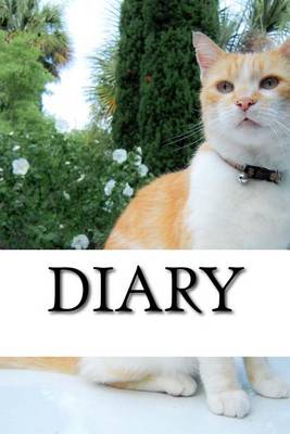 Book cover for Diary
