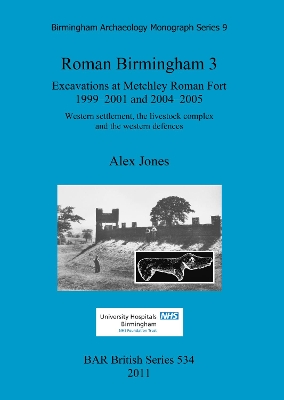 Cover of Roman Birmingham 3: Excavations at Metchley Roman Fort 1999-2001 and 2004-2005