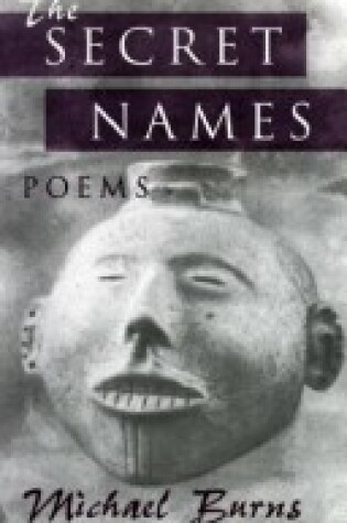 Cover of The Secret Names