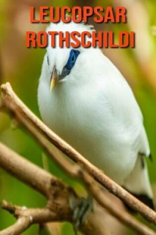 Cover of Leucopsar rothschildi