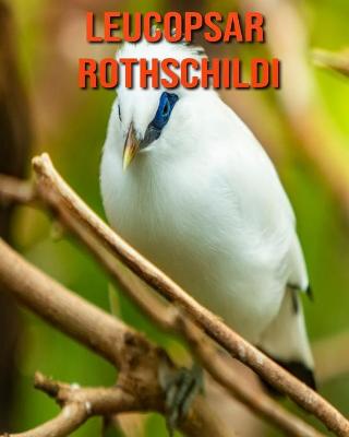 Book cover for Leucopsar rothschildi