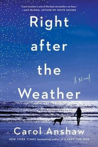 Cover of Right After the Weather