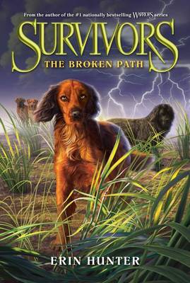 Cover of The Broken Path