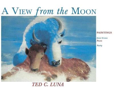 Cover of A View from the Moon (Hardcover)