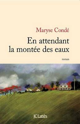 Book cover for En Attendant La Montee Des Eaux