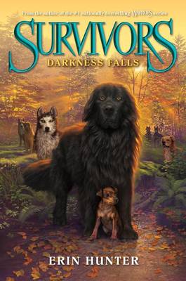 Cover of Darkness Falls