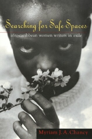 Cover of Searching for Safe Spaces