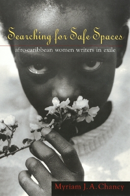 Book cover for Searching for Safe Spaces