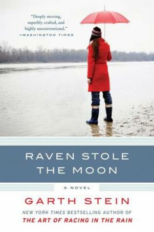 Cover of Raven Stole the Moon
