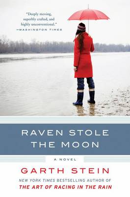 Book cover for Raven Stole the Moon