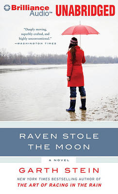 Book cover for Raven Stole the Moon