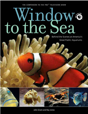 Book cover for Window to the Sea
