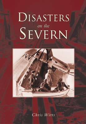 Book cover for Disasters on the Severn