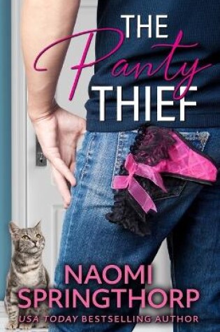 Cover of The Panty Thief