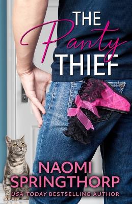 Book cover for The Panty Thief