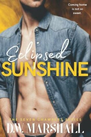 Cover of Eclipsed Sunshine