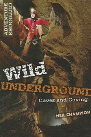 Cover of Wild Underground