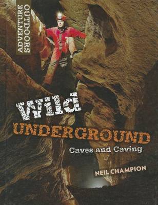 Book cover for Wild Underground